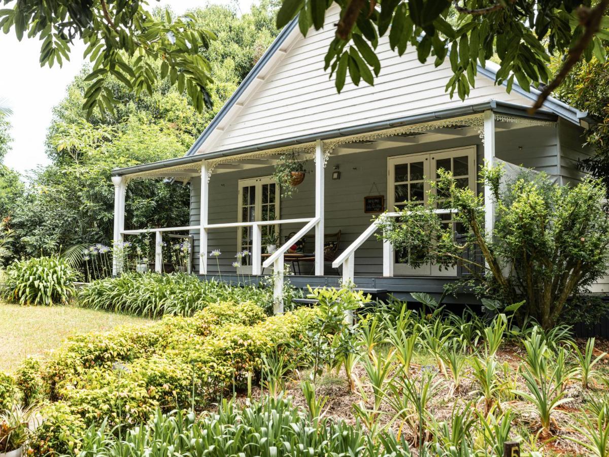 Romantic Cottage, Tamborine Mountain Eksteriør billede